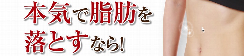 �������@�h���ʐ��U���T�C�g